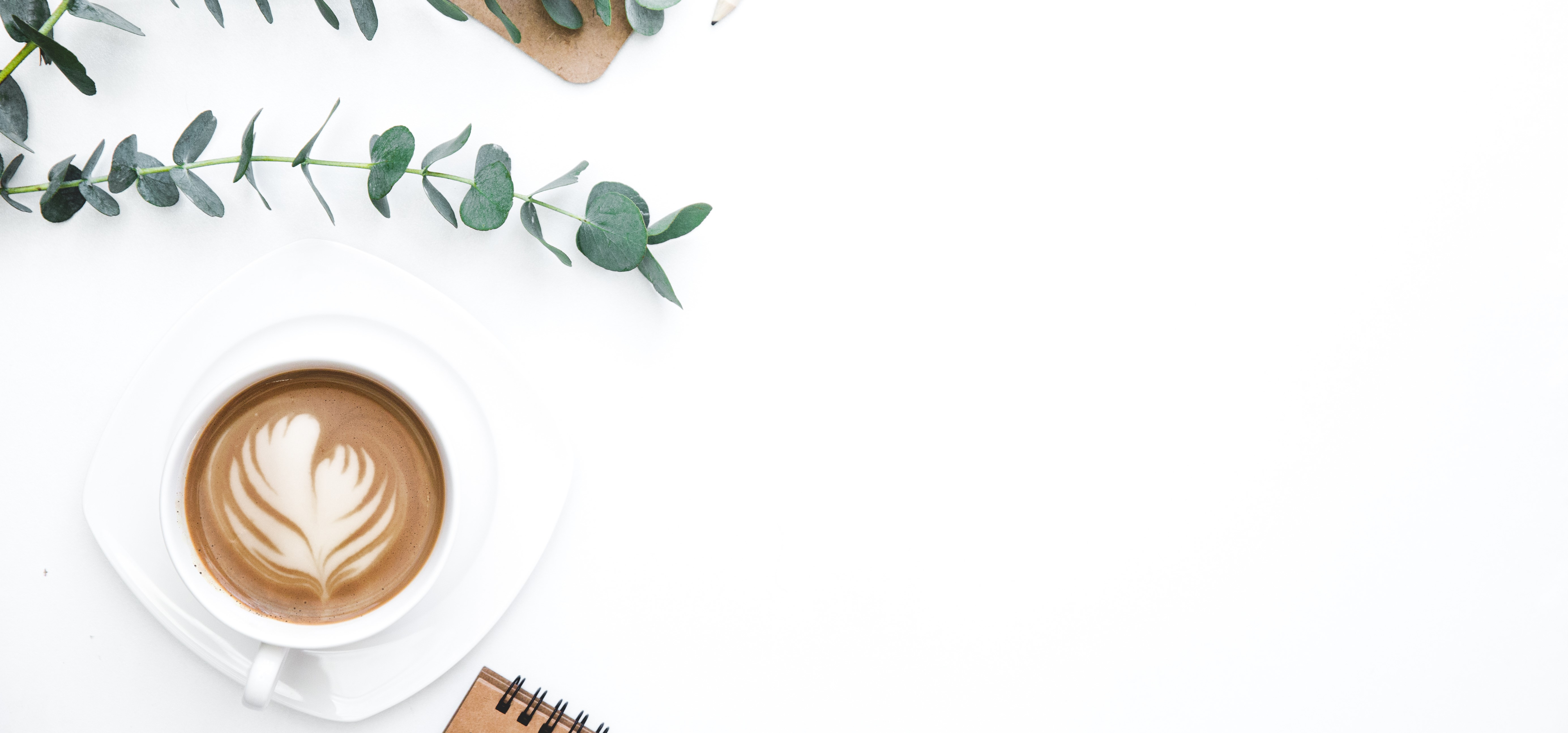 shutterstock_646151011