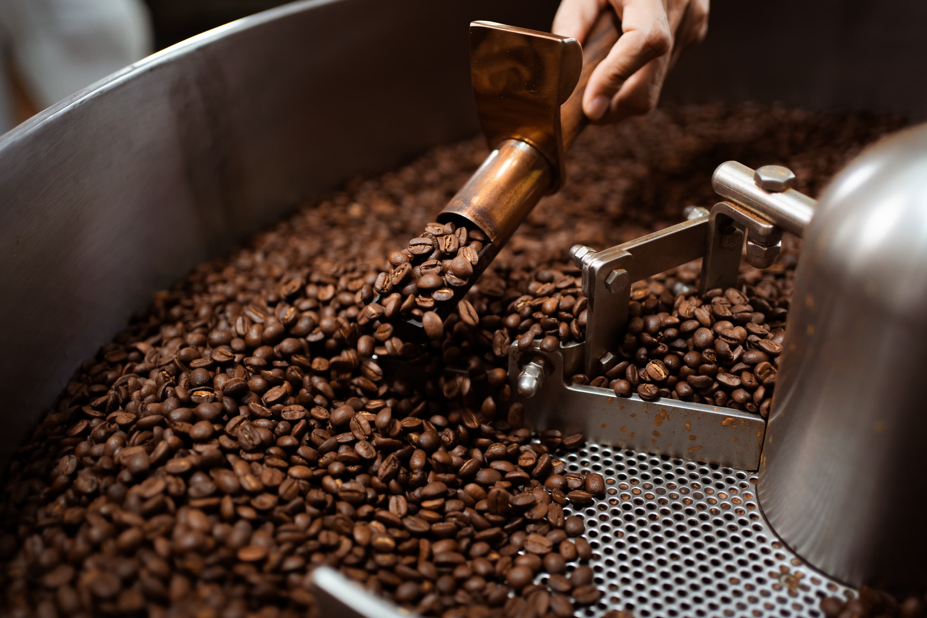 Frisch geröstete Kaffeebohnen werden in einer Trommelmaschine bewegt.