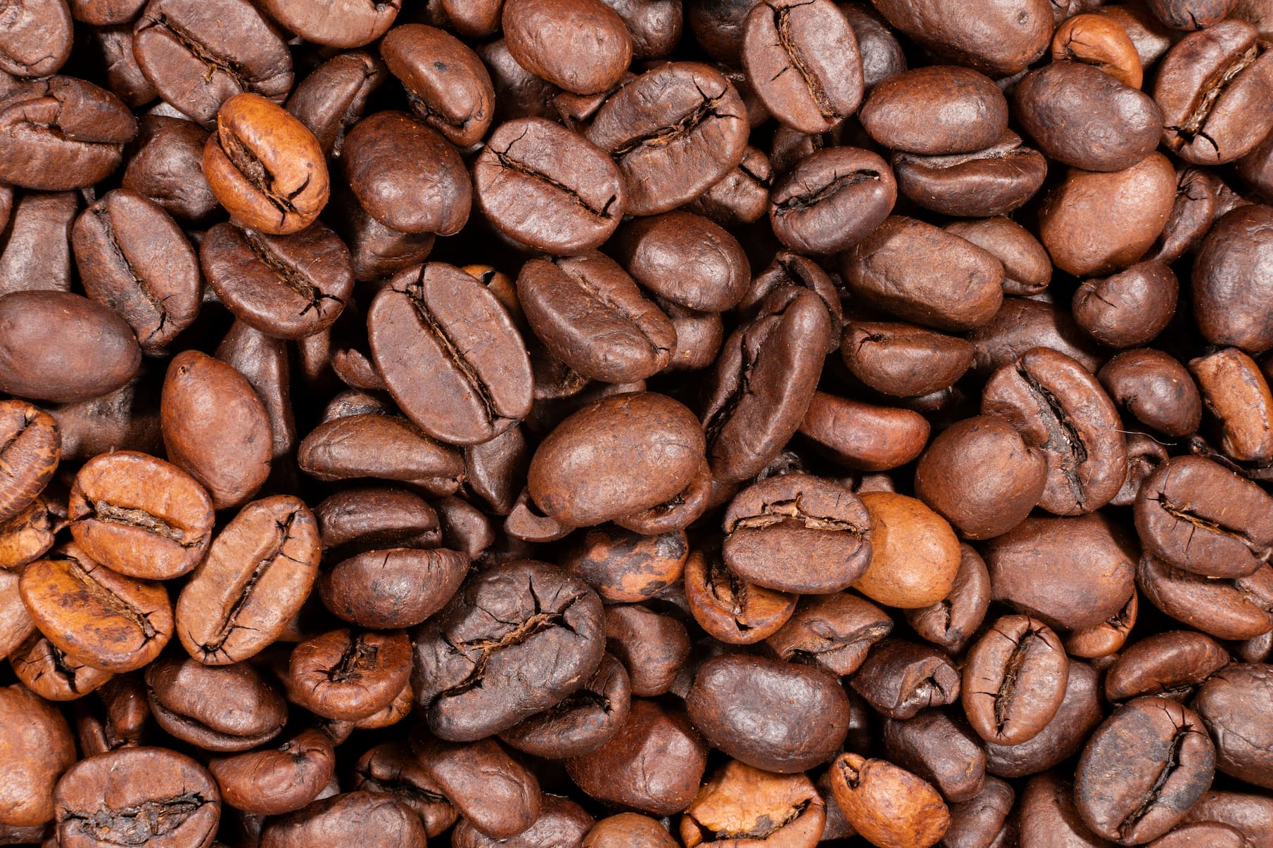 Nahaufnahme von gerösteten Kaffeebohnen in unterschiedlichen Röststufen.