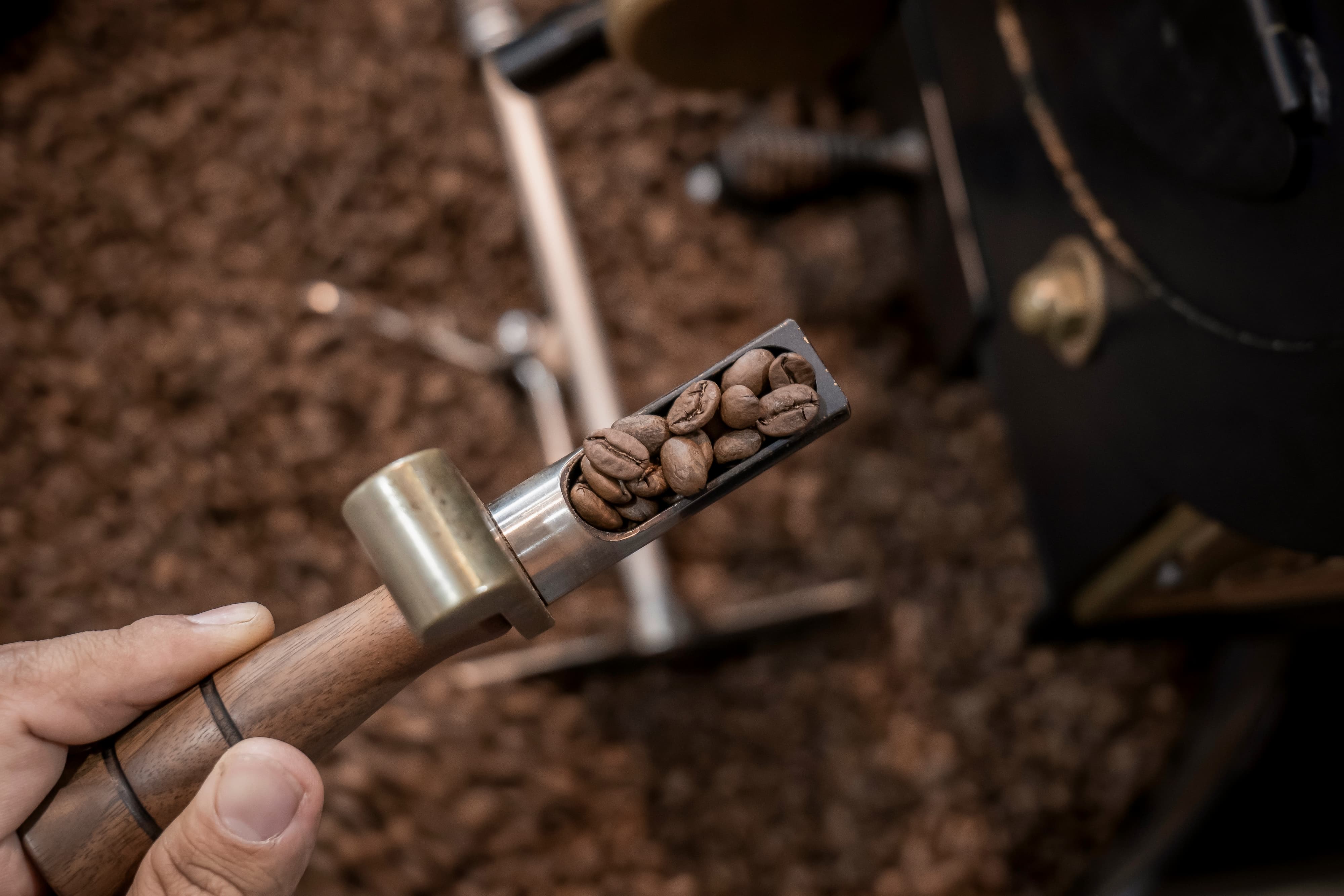 Hand prüft frisch geröstete Kaffeebohnen mit Probenzieher aus der Röstmaschine.