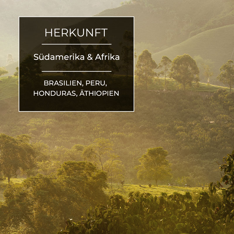 Green Line Coffee BIO