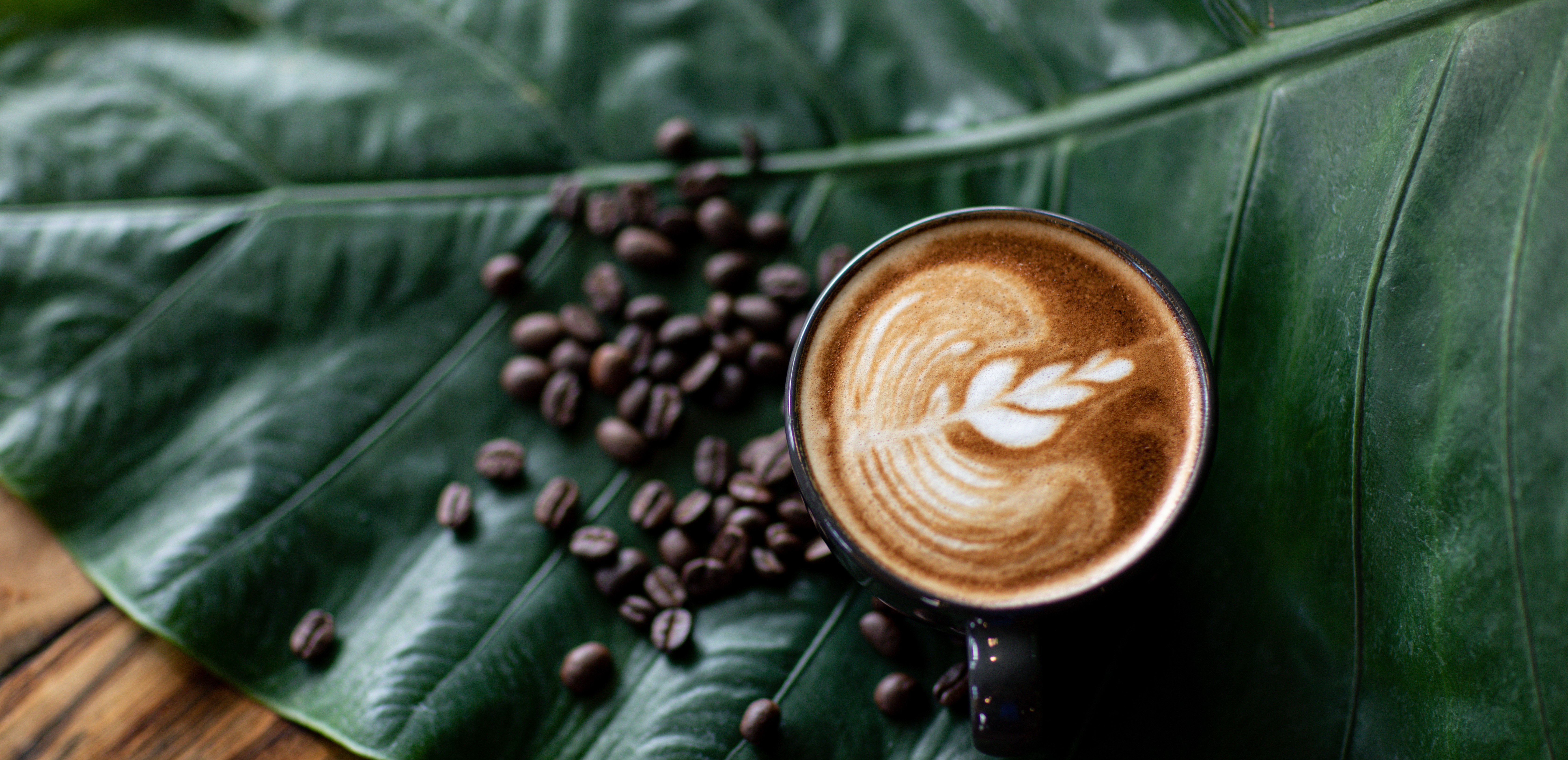 shutterstock_1932214646