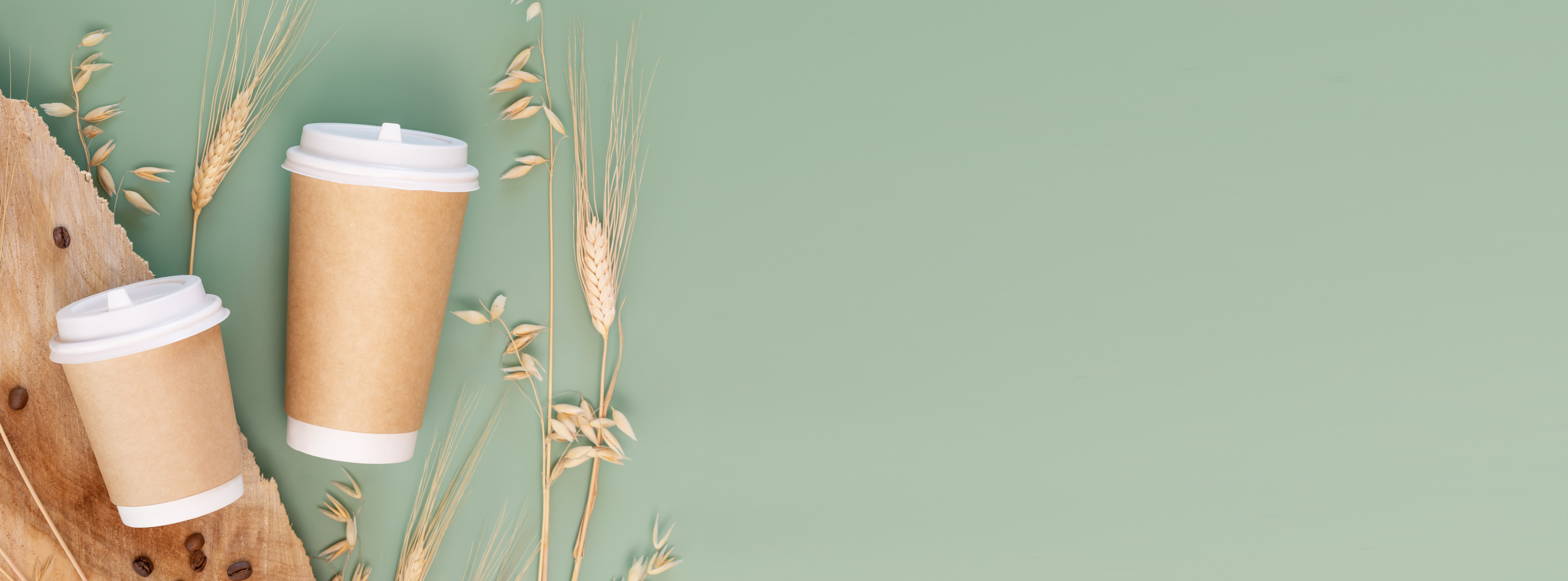 shutterstock_2202962577