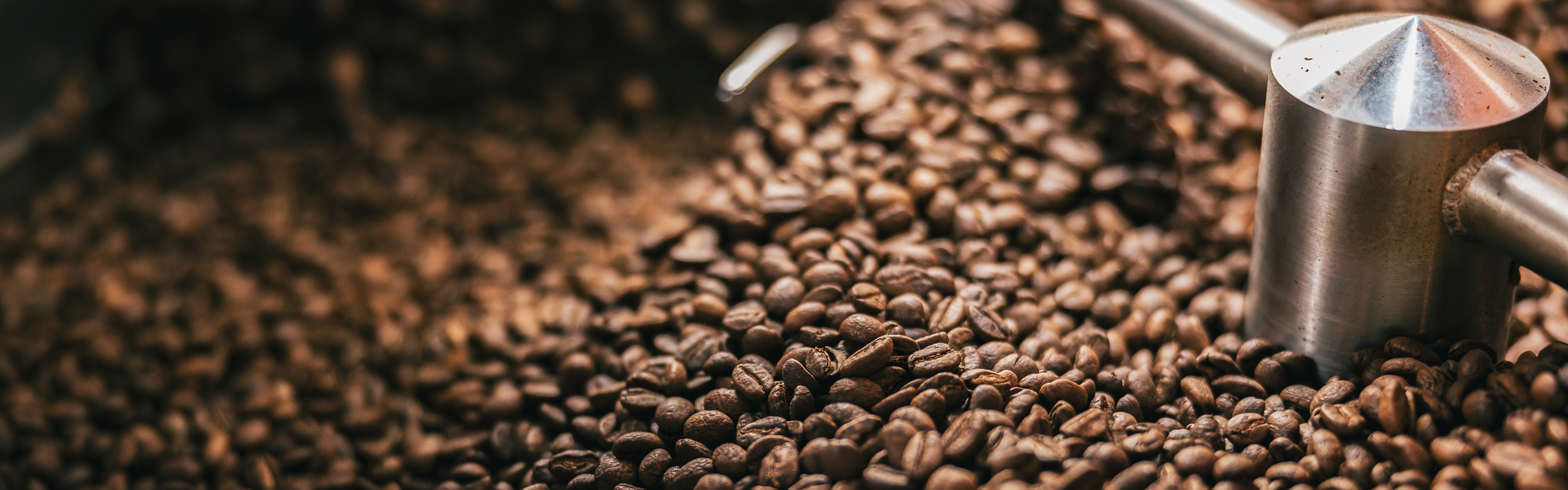 shutterstock_2290972547