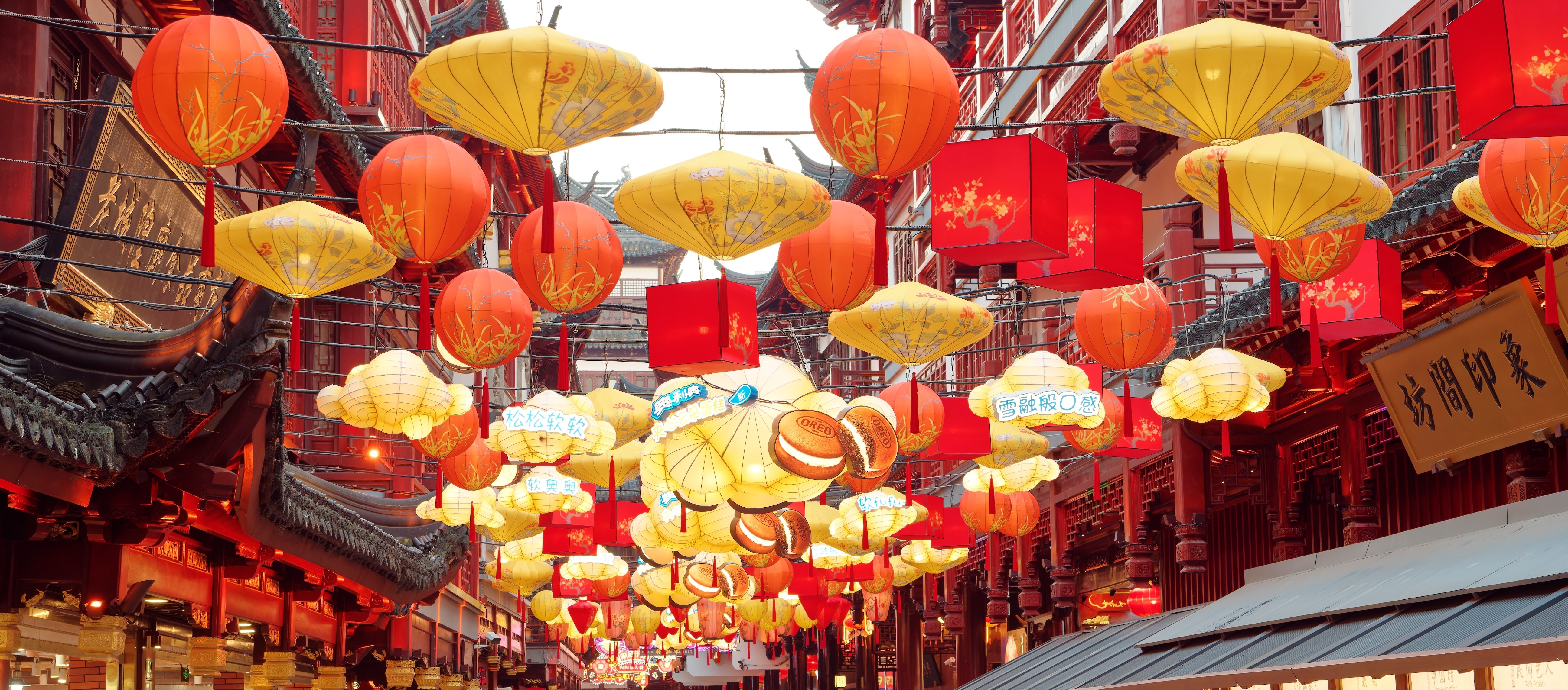 shutterstock_2250287517