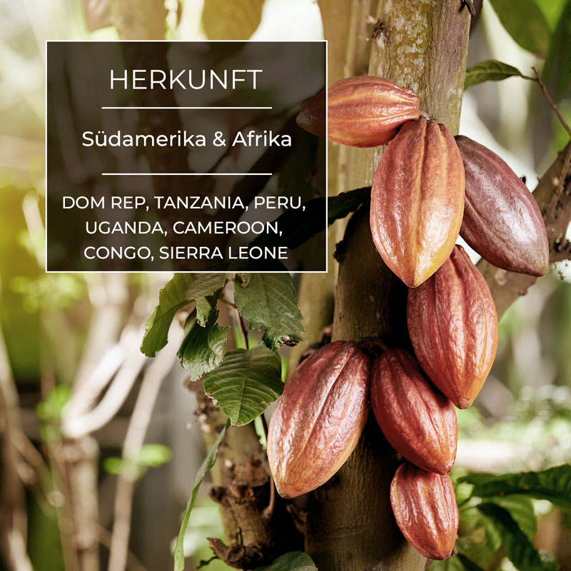 Green Line Choco BIO