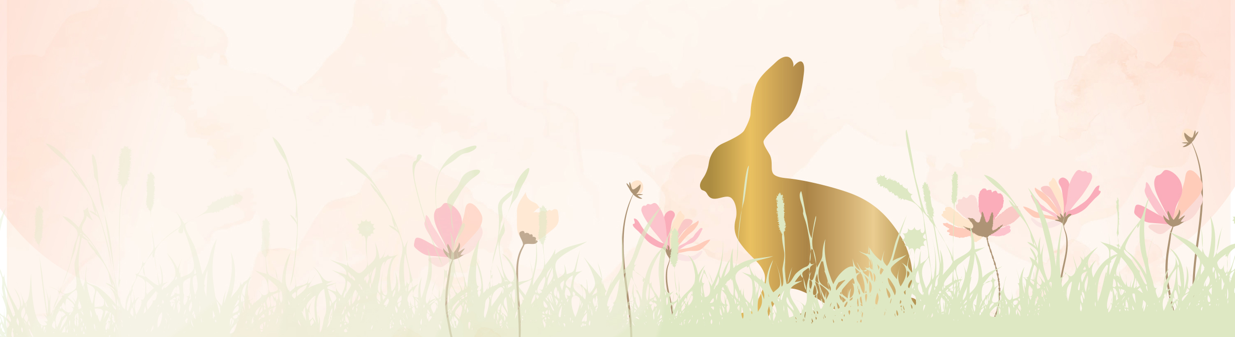 slider_schmal_osteraktion