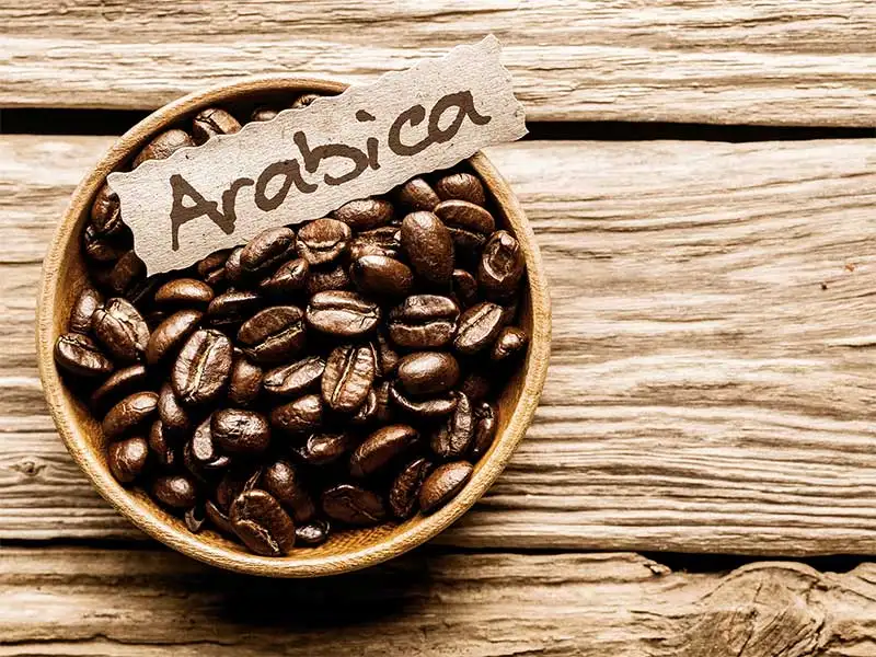 Kaffee Bohne Arabica Kaffee Bohne Arabica