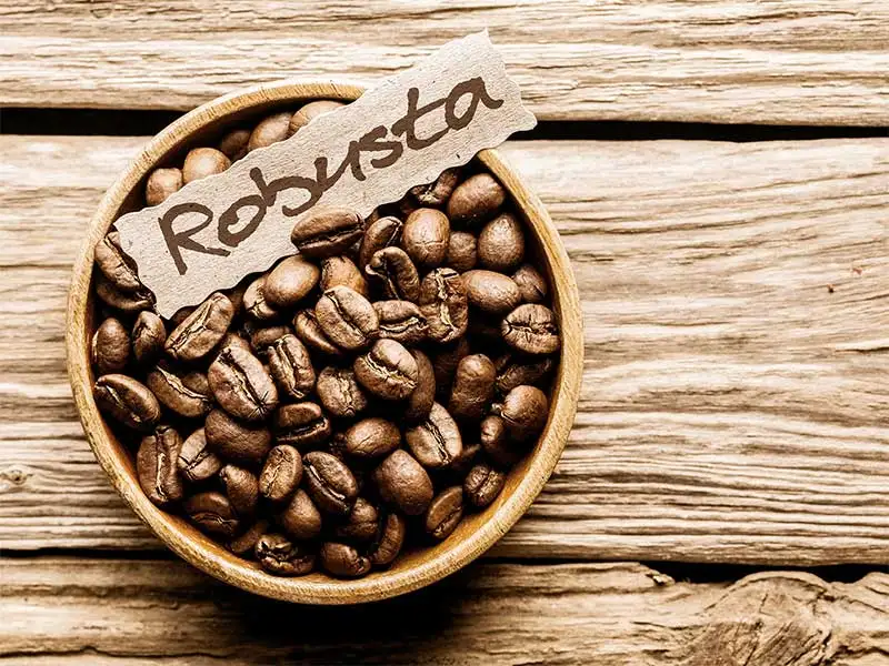 Kaffee Bohne Robusta Kaffee Bohne Robusta