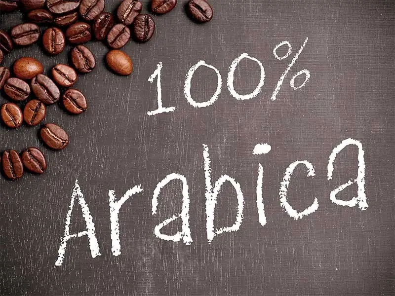 Kaffee Arabica Kaffee Arabica