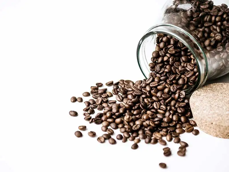 kaffeebohne kaffeebohne