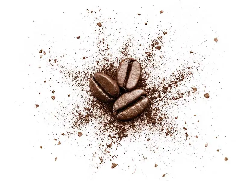 kaffeebohne kaffeebohne