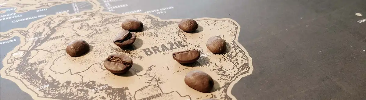 Brasilianischer Kaffee Brasilianischer Kaffee